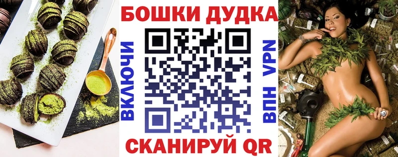 мега онион  наркошоп  Богучар  Canna-Cookies конопля 