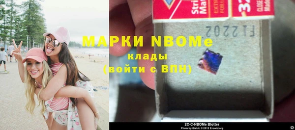 ПСИЛОЦИБИНОВЫЕ ГРИБЫ Богданович