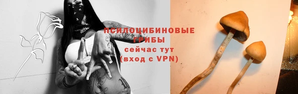 метадон Арсеньев