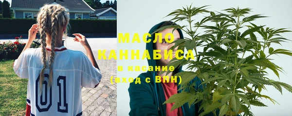 сатива Ачинск